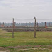  Auschwitz